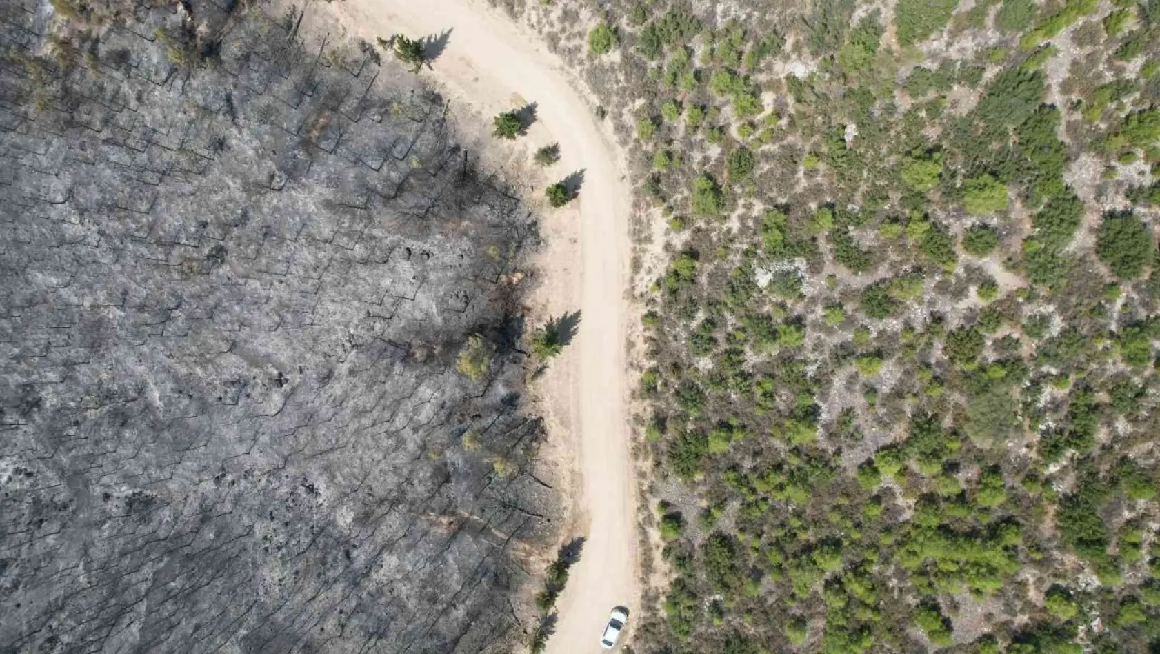 Denizli - Muğla sınırında çıkan yangında 100 hektar alan siyaha büründü