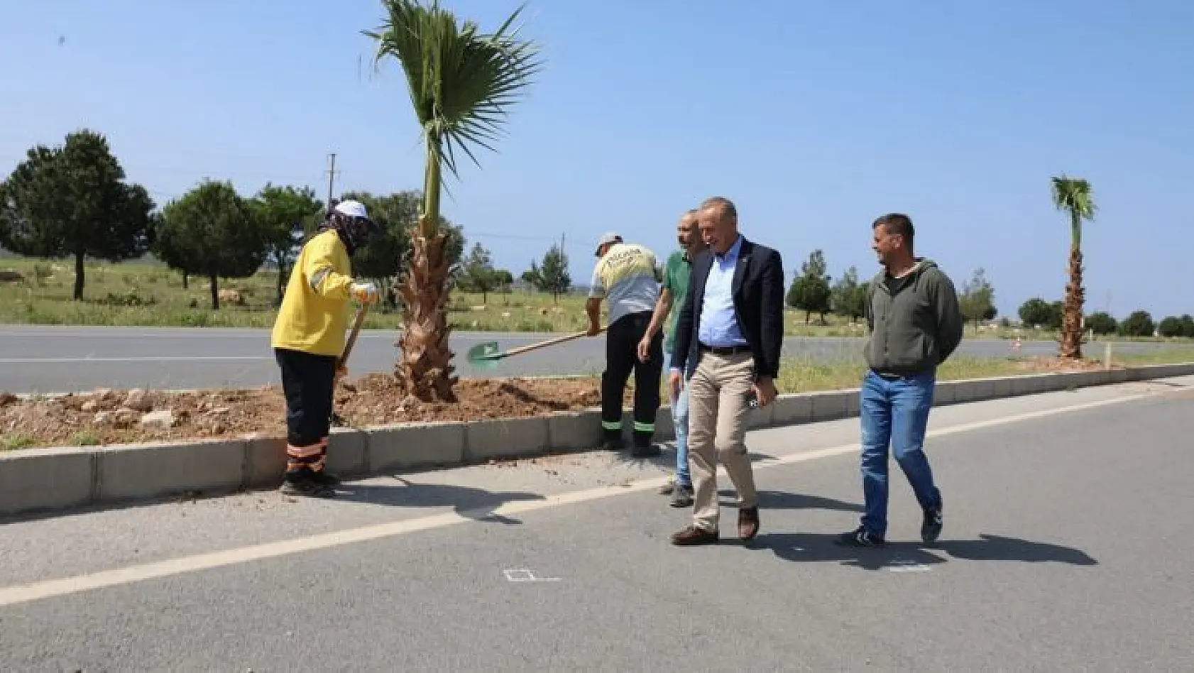 Didim Belediyesi, 250 adet palmiye ağacının dikimini gerçekleştiriyor