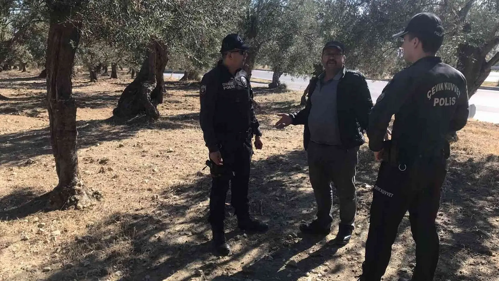 Edremit'te polis zeytin bahçelerinde denetim yaptı
