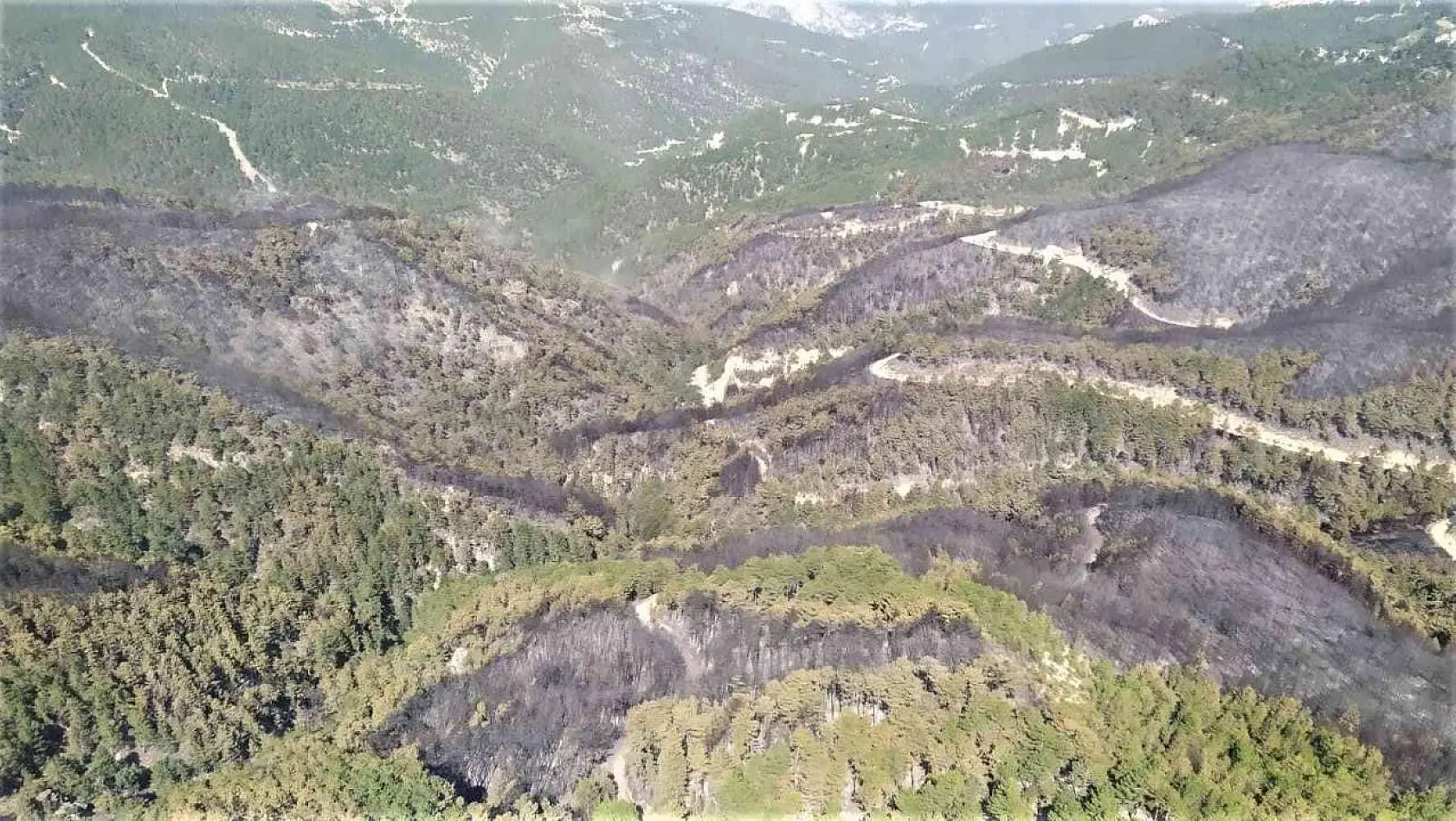 Emet'te yanan ormanlık alan havadan görüntülendi