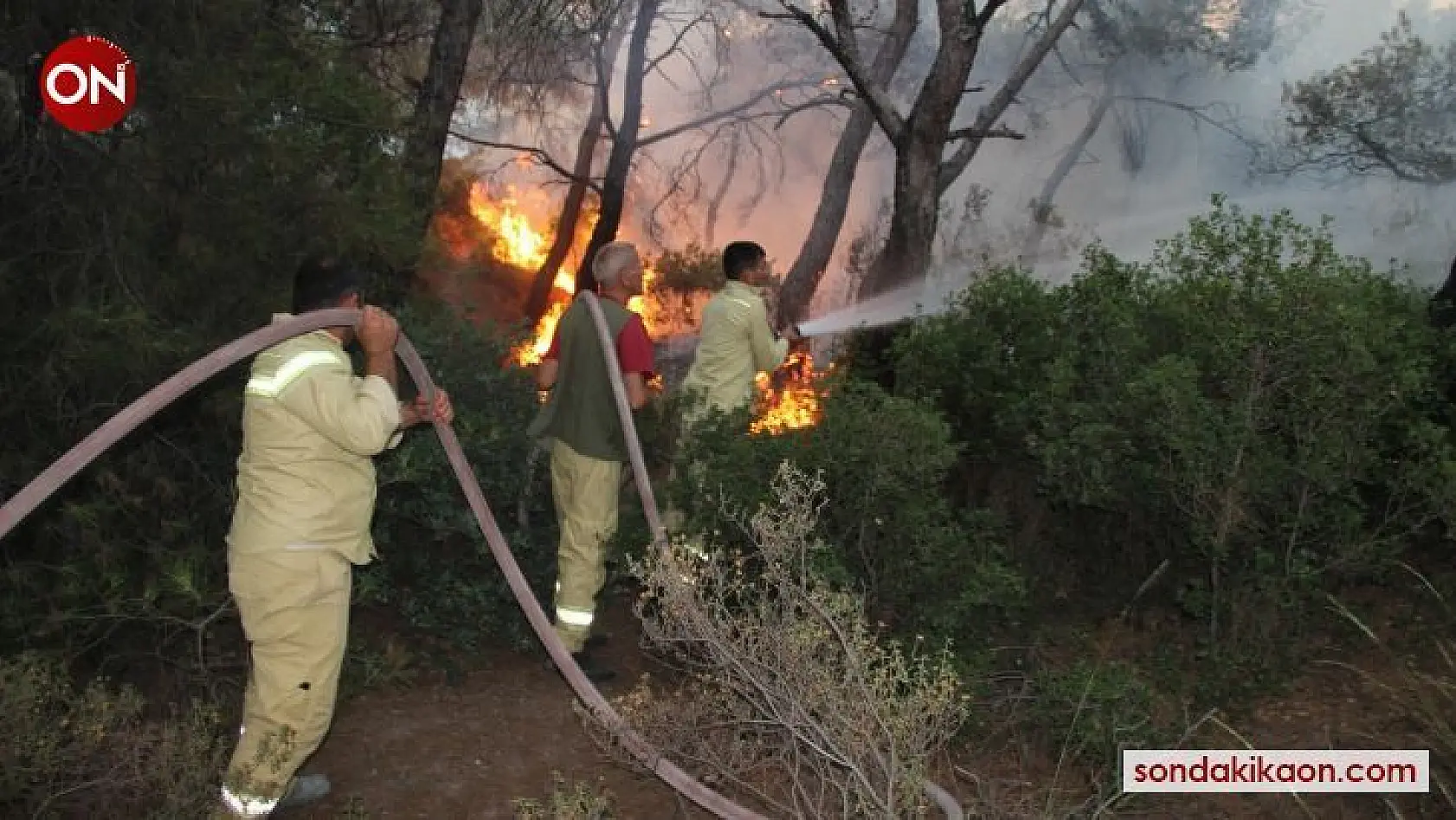 Foça'daki yangının etrafı çevrildi