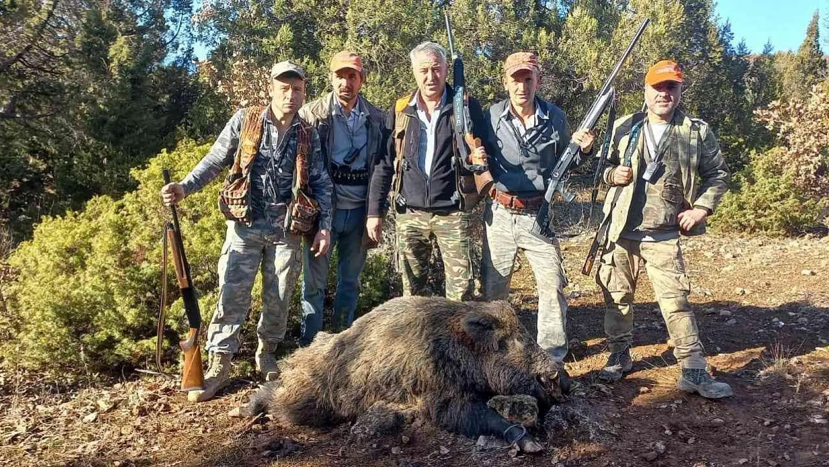 Hisarcıklı avcılar yaklaşık 350 kilo ağırlığında domuz avladı