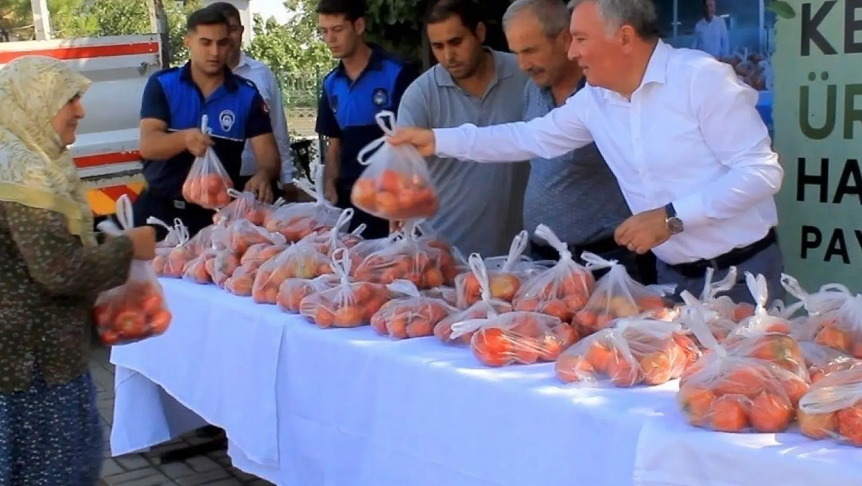 Honaz Belediyesi ata tohumundan yetiştirilen domatesleri halka ücretsiz dağıttı