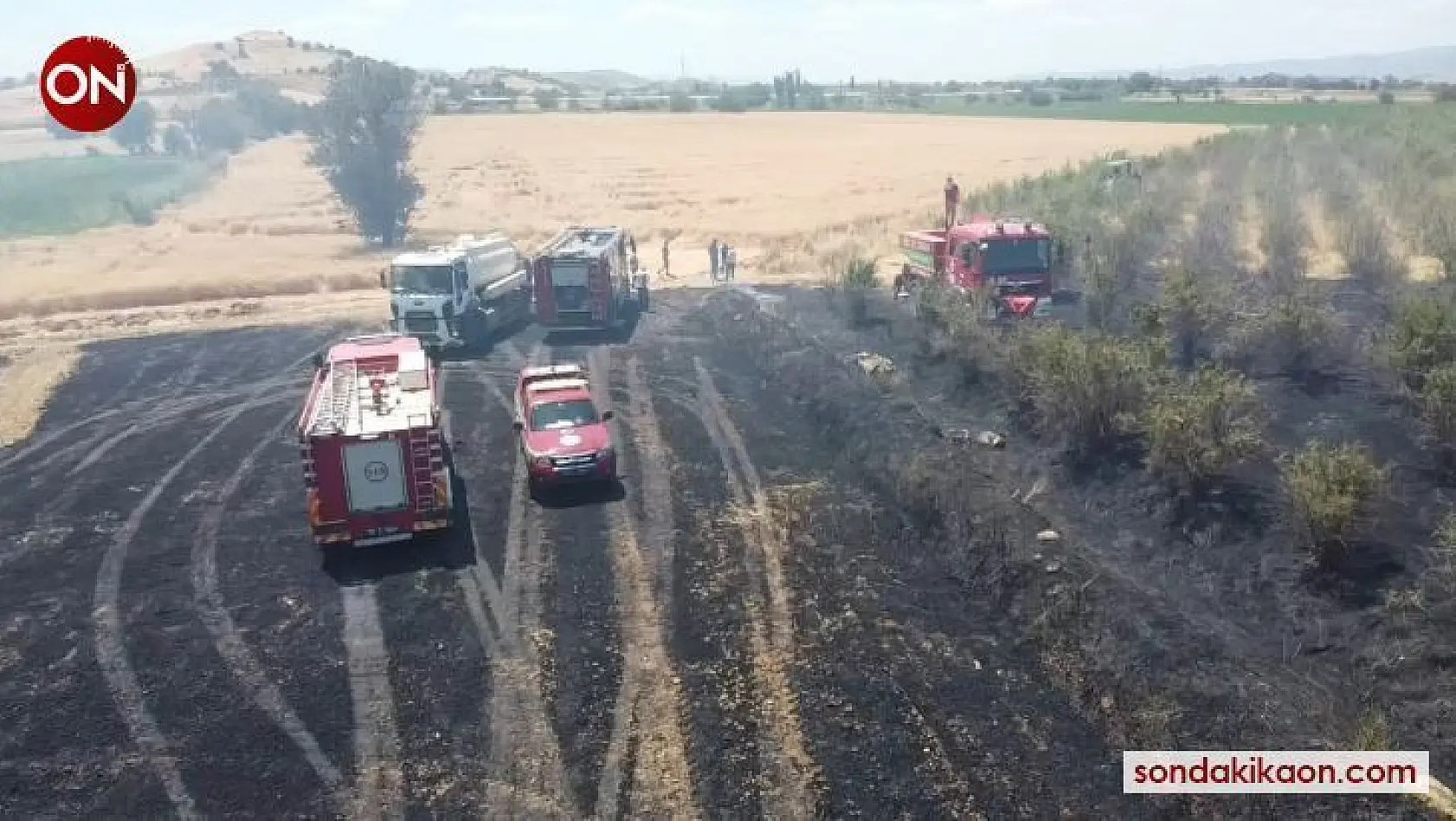 İzmir'de büyük arazi yangını: 40 dönüm arazi kül oldu