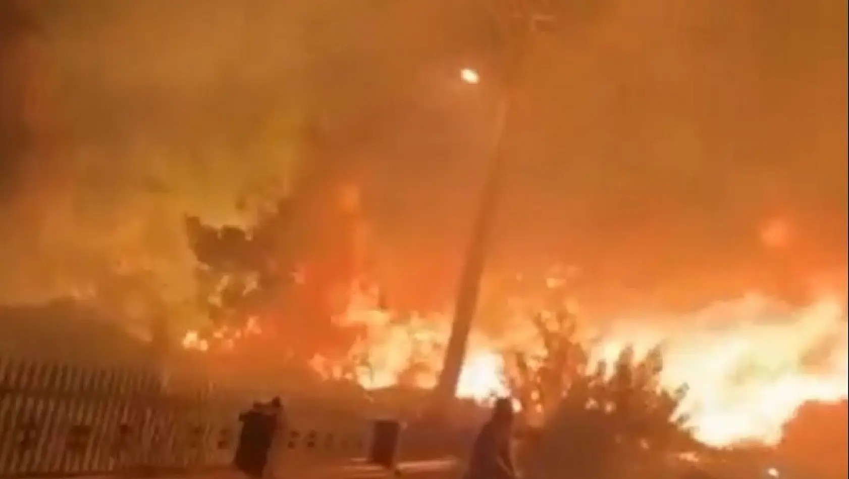 İzmir'de evlere yakın noktada yangın