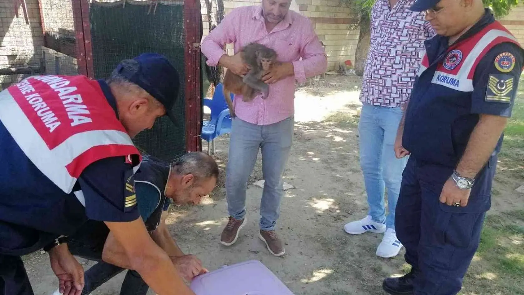 İzmir'de ilginç olay: 2 yaşındaki çocuğun elini maymun ısırdı