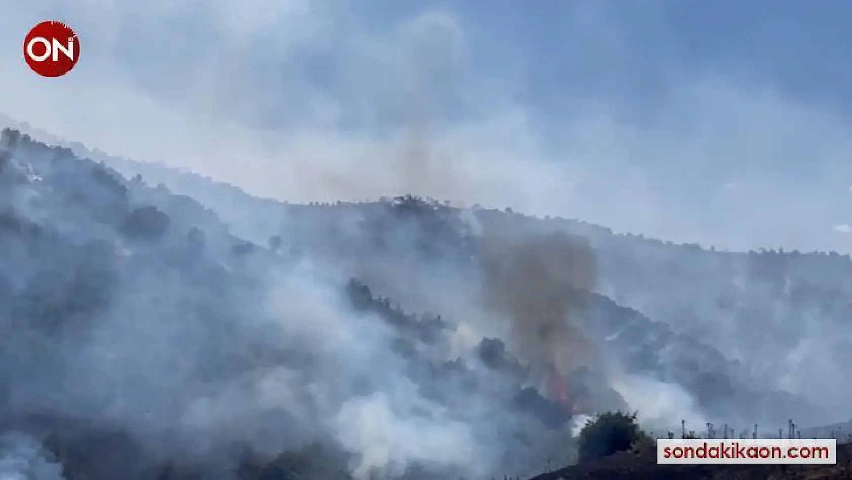 İzmir'de makilik alandaki yangına havadan ve karadan müdahale