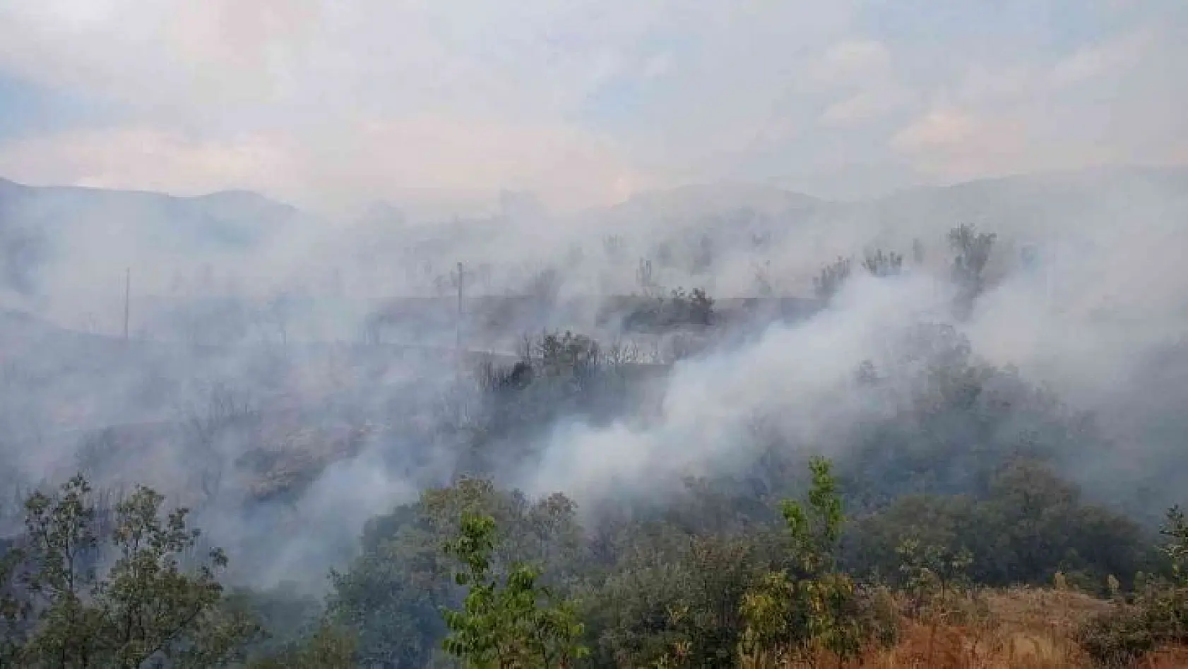 İzmir'de ormanlık alanda yangın
