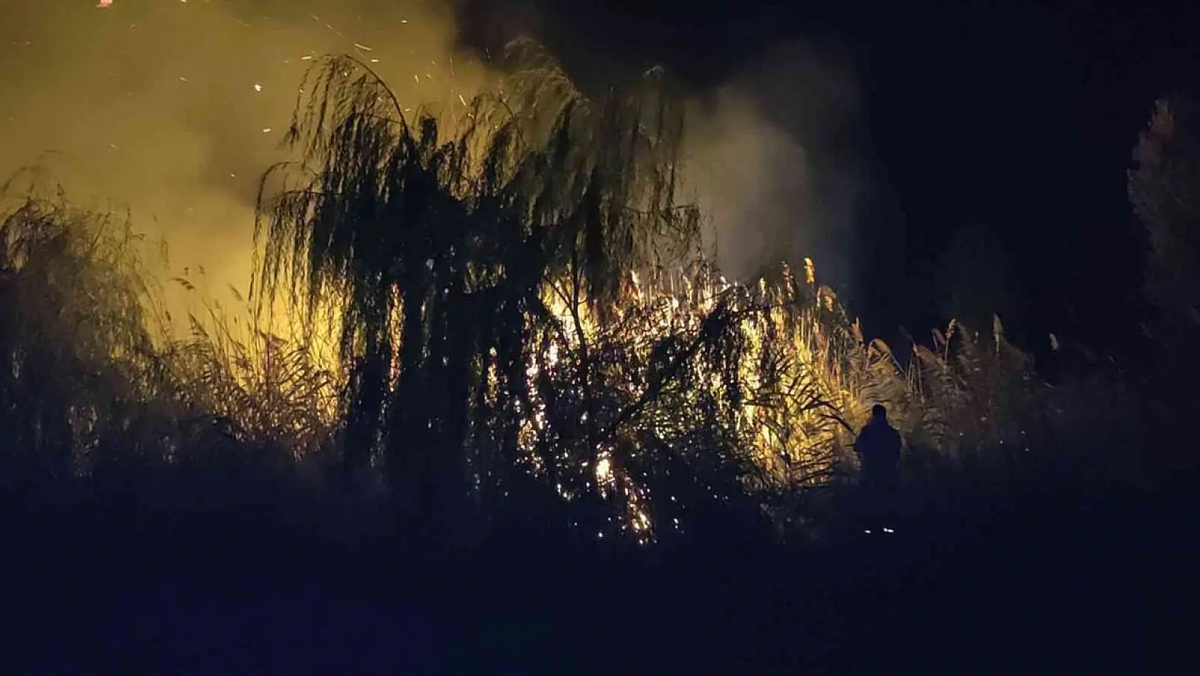 İznik Gölü'nde korkutan yangın