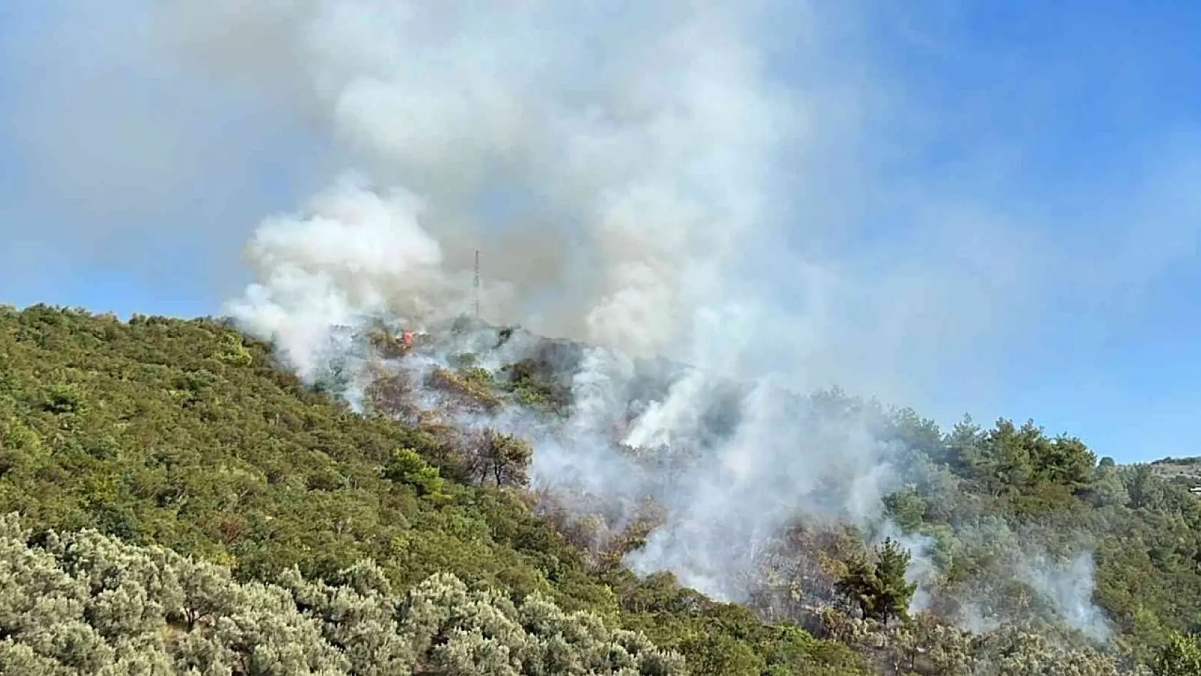 İznik'te orman yangını...Helikopter defalarca gölden su aldı
