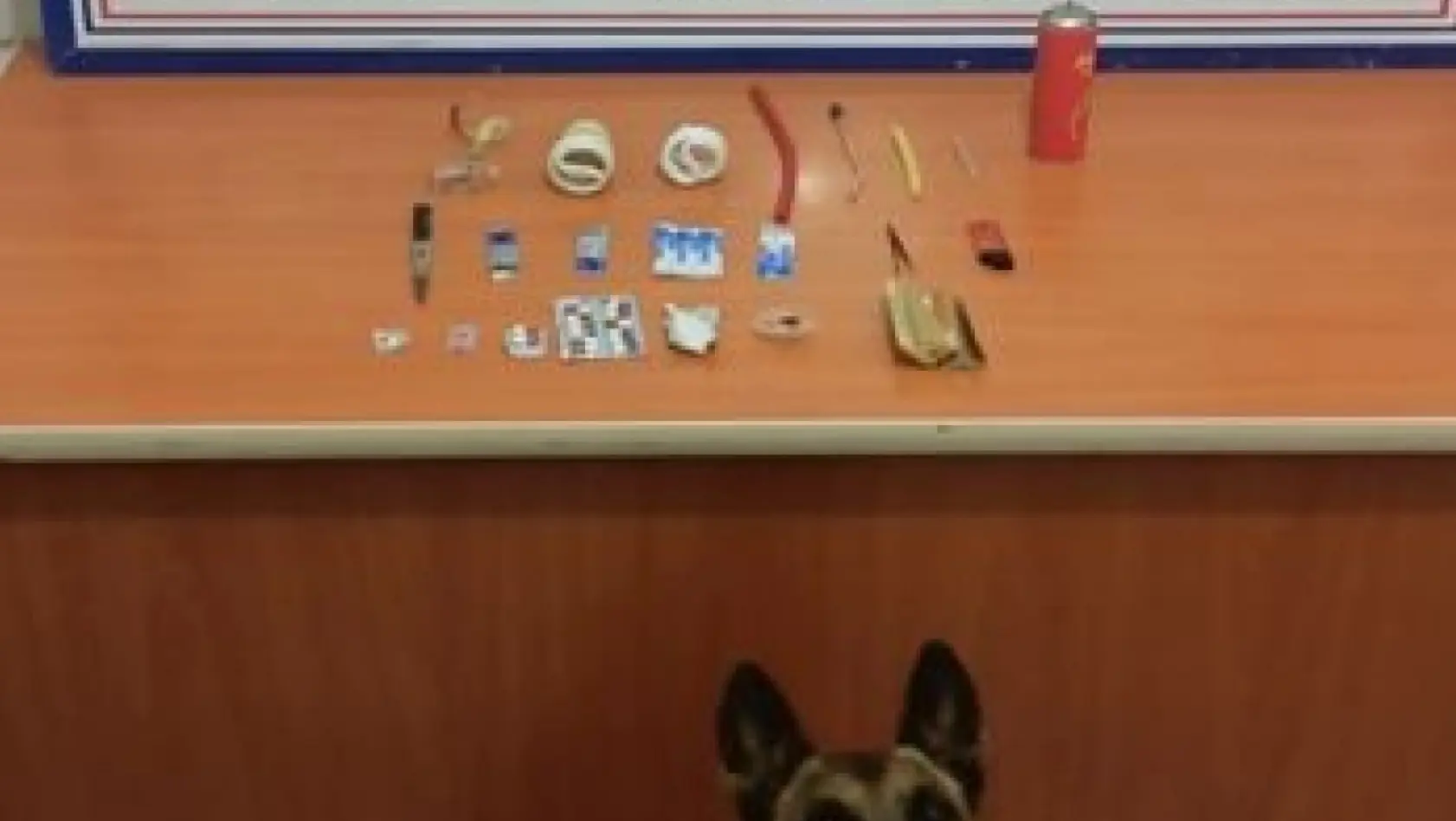 Jandarma'nın detektör köpeği uyuşturucuya geçit vermedi