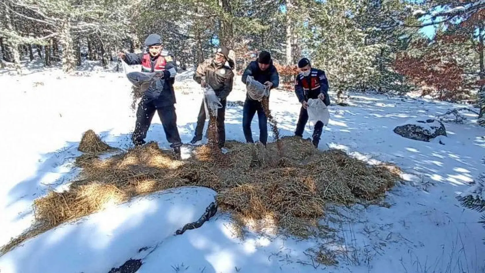 Karla kaplı Kazdağları'na yaban hayvanları için yem bırakıldı