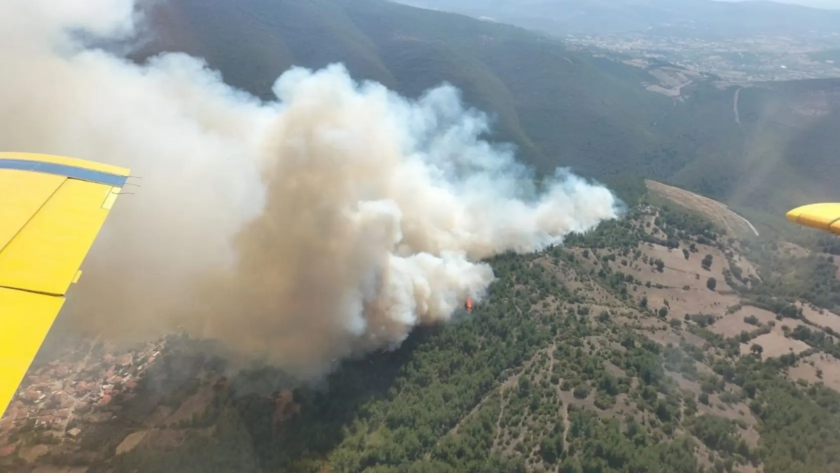 Kepsut'ta orman yangını