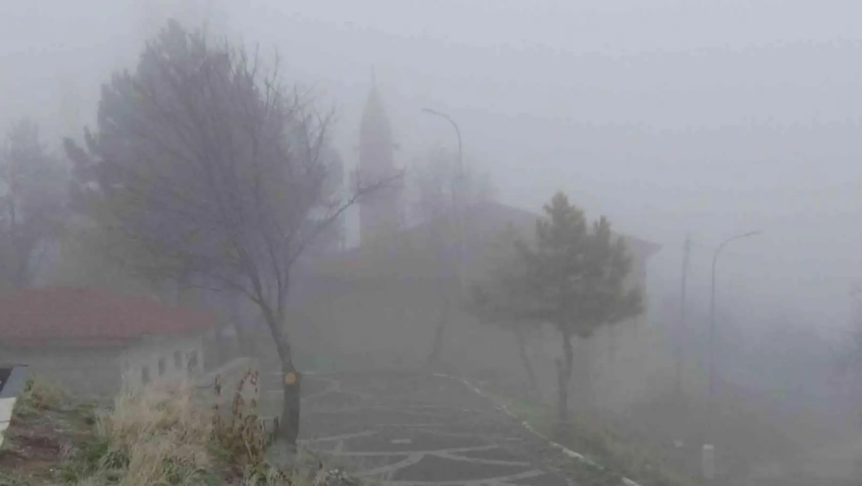 Kütahya'da yoğun sis, görüş mesafesi yer yer 30 metreye kadar düştü