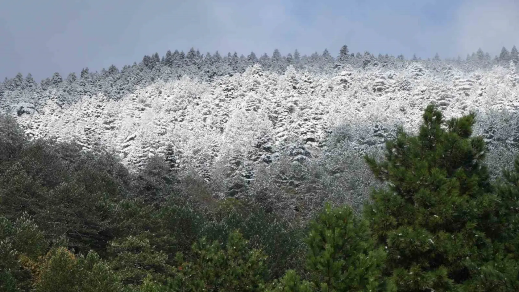 Kuzey Ege'de mevsimin ilk karı yağdı