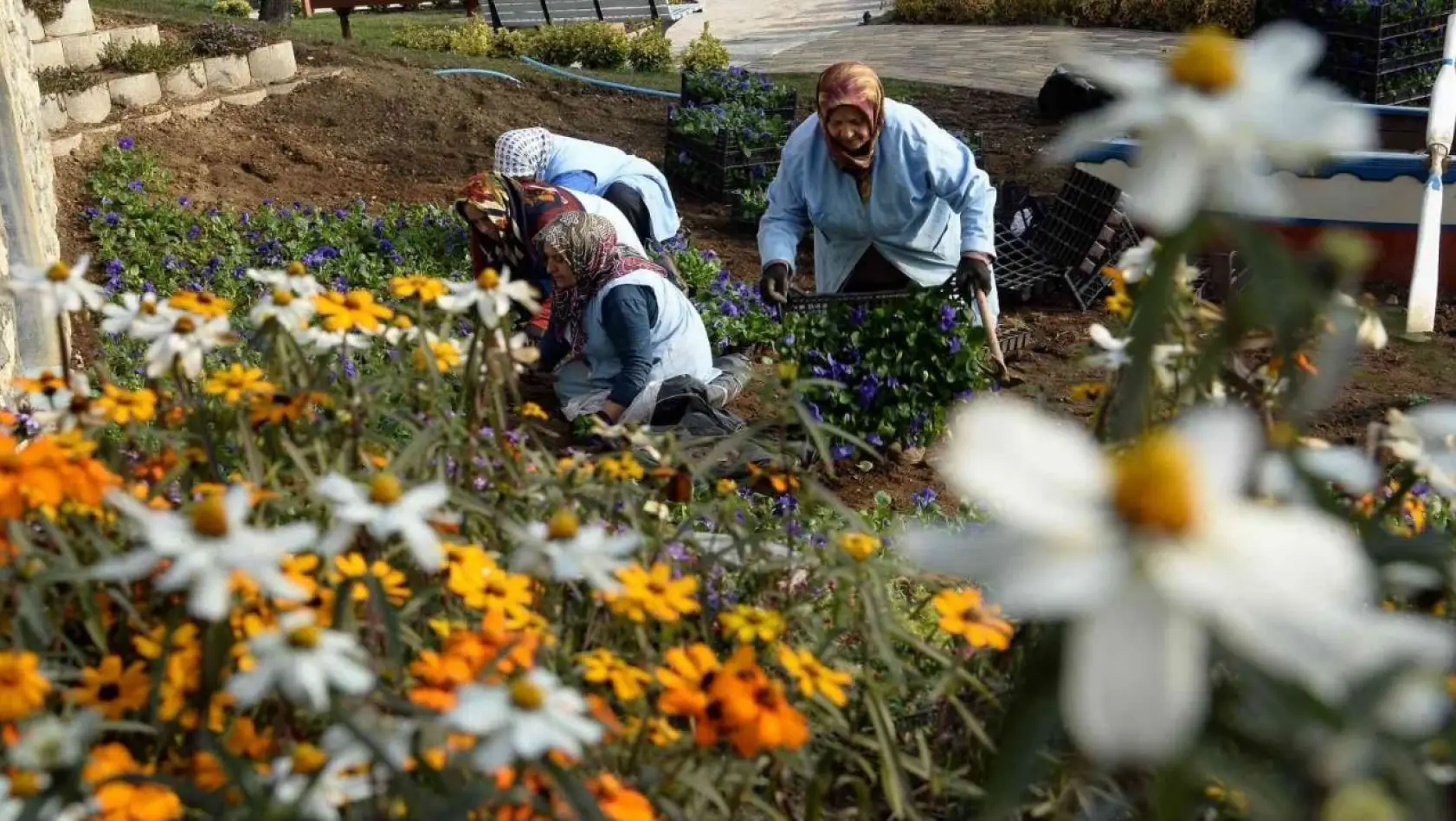 Macera Bursa kış çiçekleriyle yenileniyor