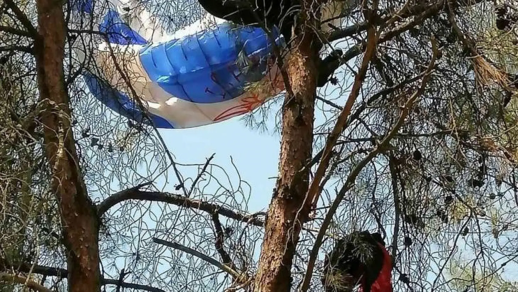 Manisa'da amatör paraşütçü ağaca asılı kaldı