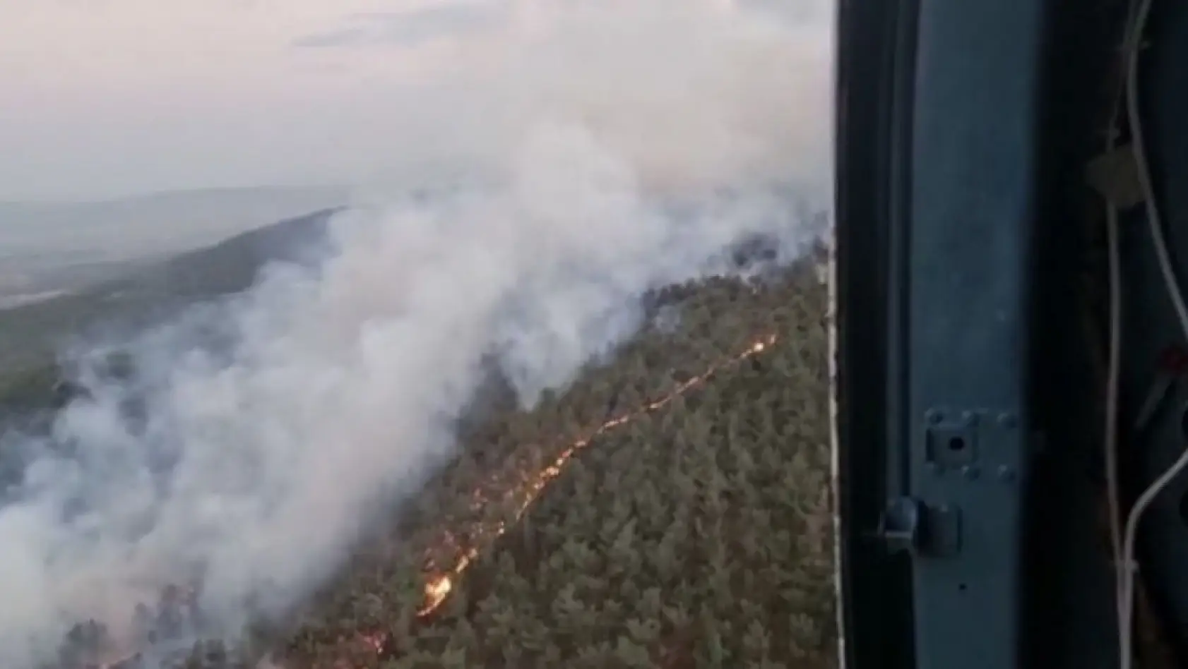 Manisa'da ormanlık alanda yangın