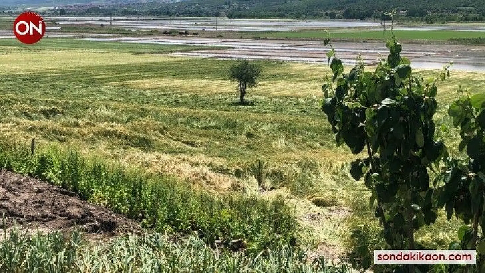 Manyas'ta ekili tarım arazilerinde hasar tespit çalışması yapıldı