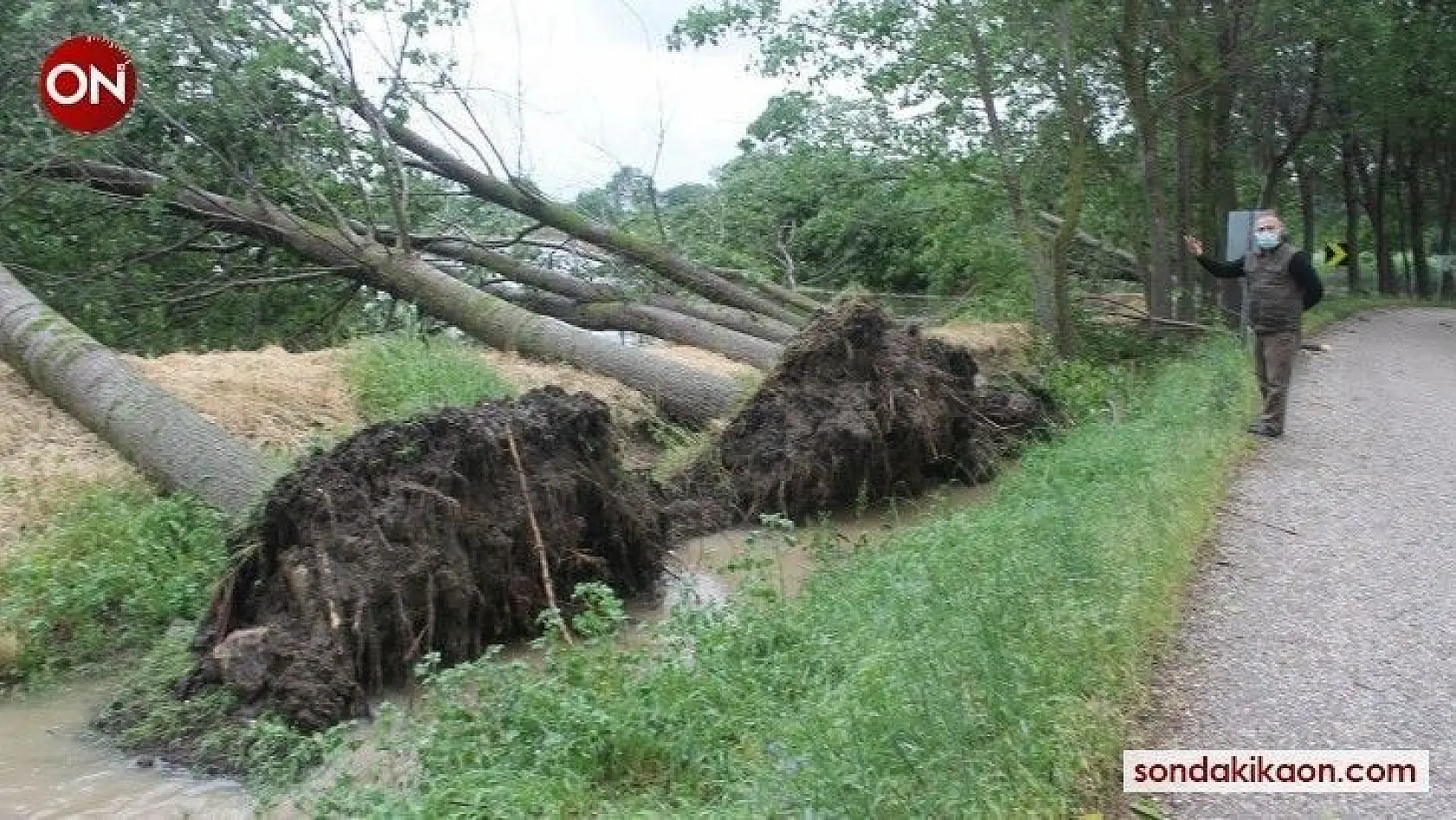 Manyas'ta fırtına ve yağmur maddi hasara yol açtı
