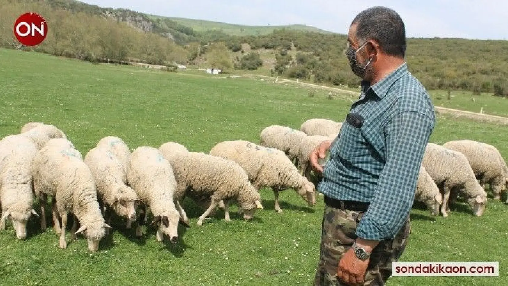 Manyas'ta tarımsal faaliyetler devam ediyor