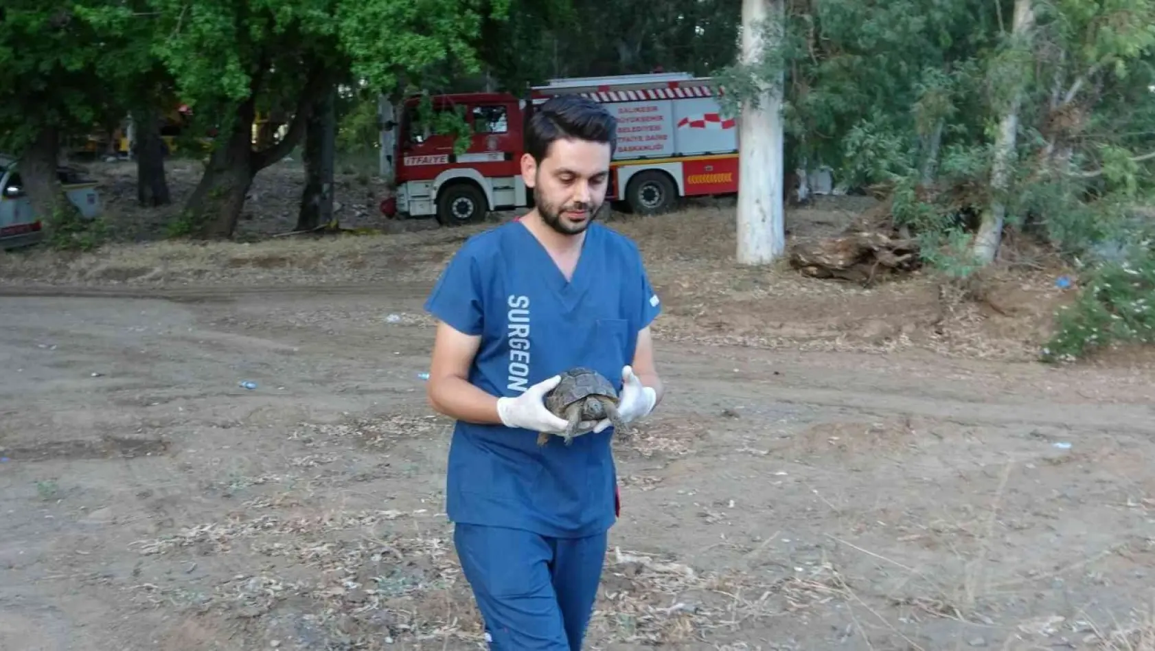 Marmaris'teki Yangında dumandan zehirlenen kaplumbağa hayata döndürüldü