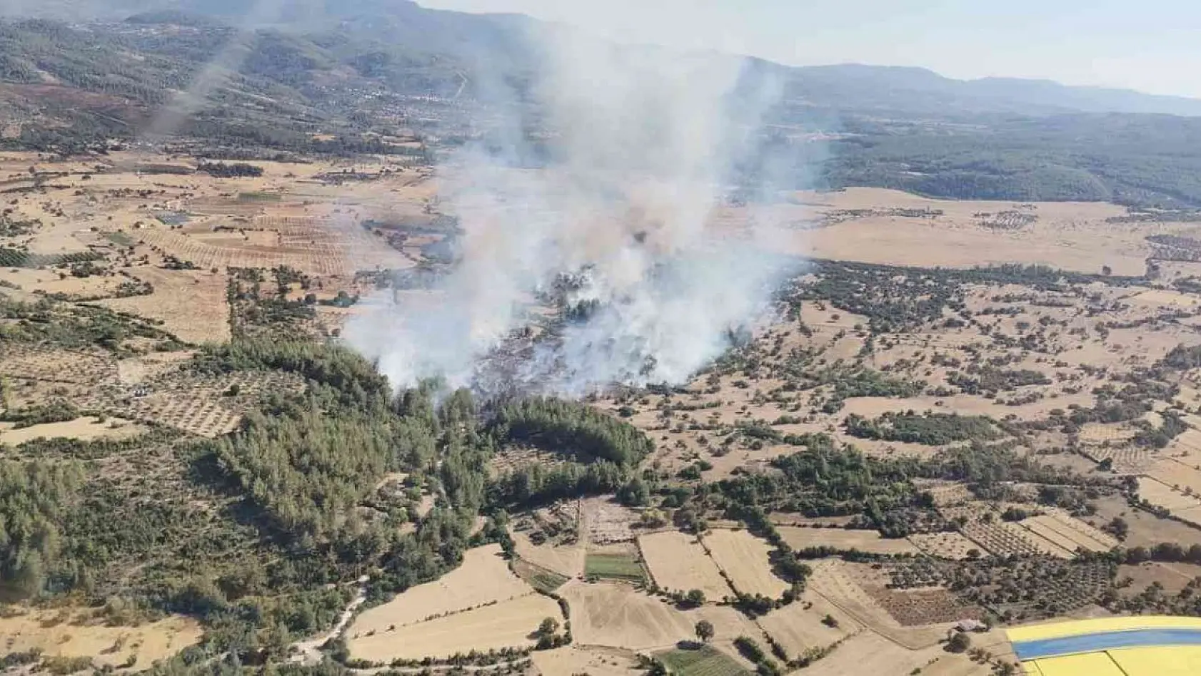 Milas'ta 4 hektarlık alan zarar gördü