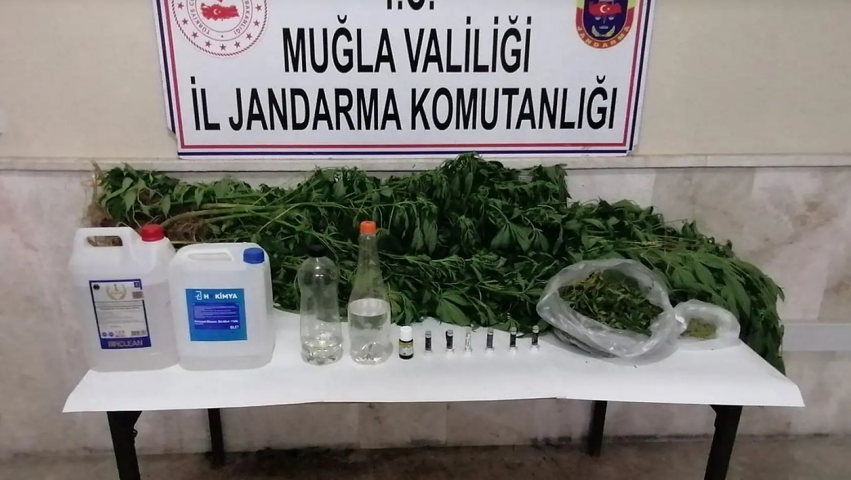 Milas'ta kaçak içki, kenevir ve uyuşturucu madde ele geçirildi