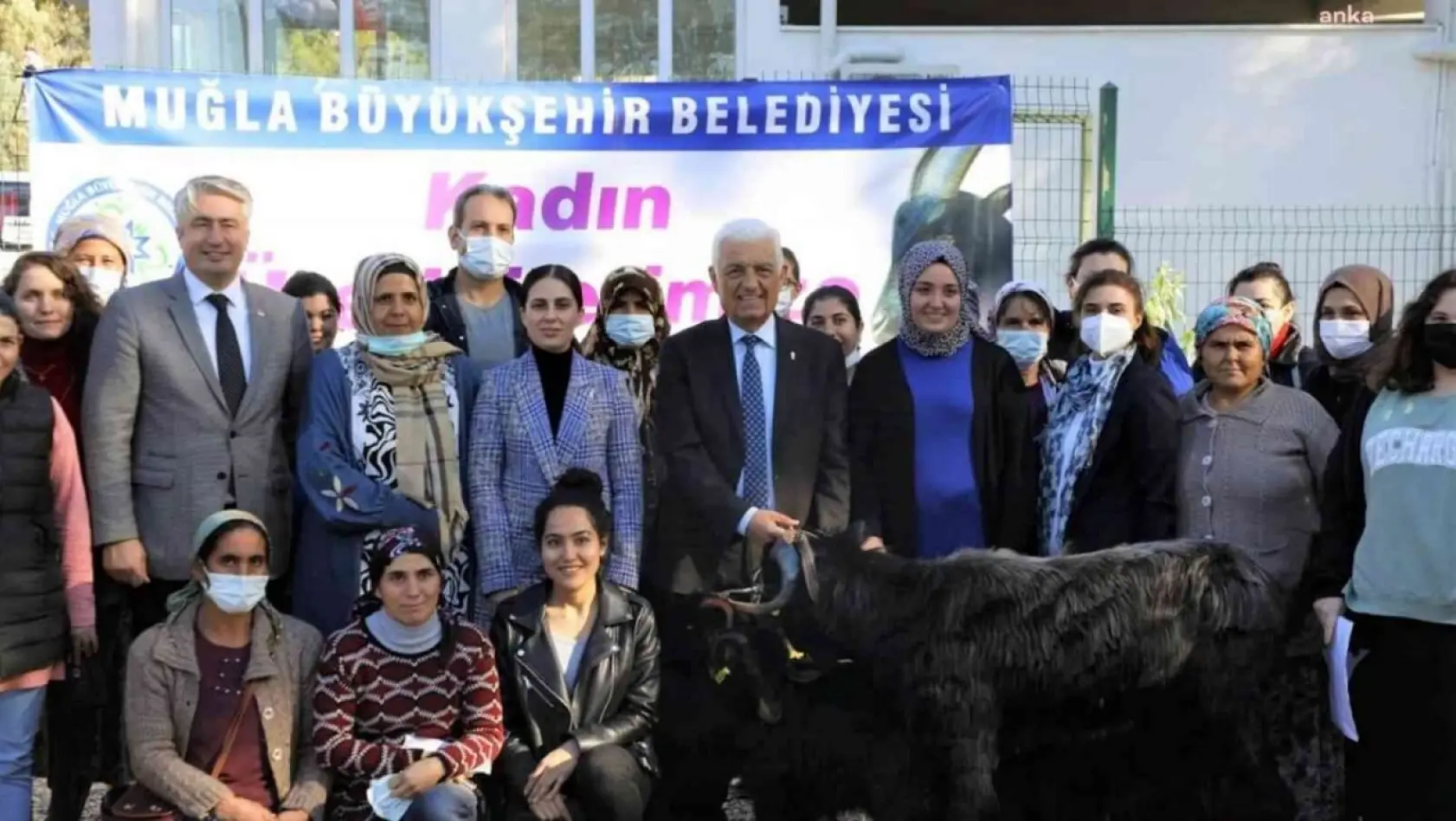 Muğla Büyükşehir Belediyesi Yatağan'da Kıl Keçisi dağıtıyor