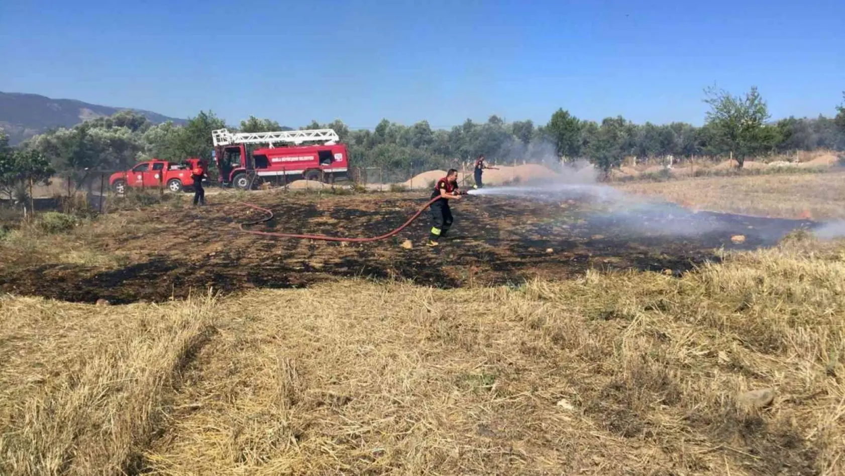Muğla'da 6 ayda 385 anız yangını