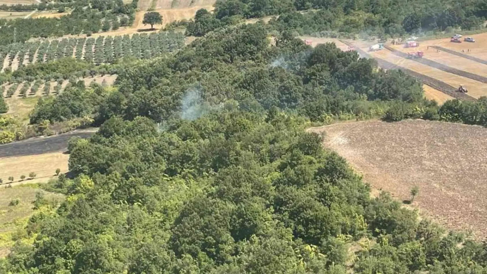 Mustafakemalpaşa'da orman yangını