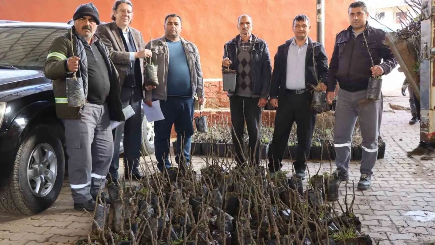 Nazilli'de 30 bin incir fidanı toprakla buluşuyor