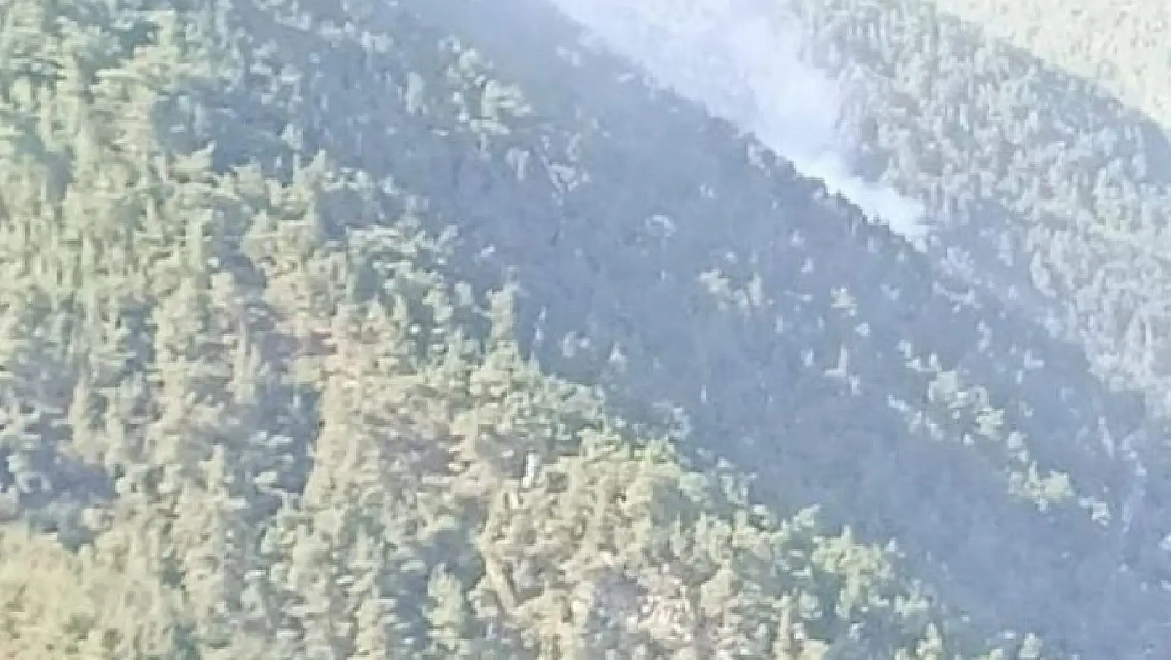 Ormana düşen yıldırım yangına neden oldu