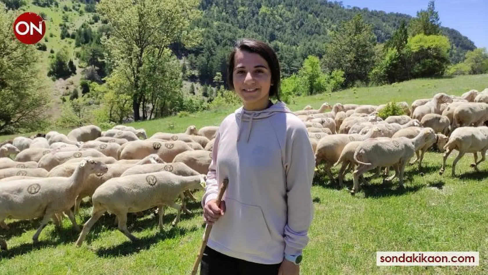 (Özel) Koyunlarını otlatarak Avrupa Şampiyonası'na hazırlanıyor