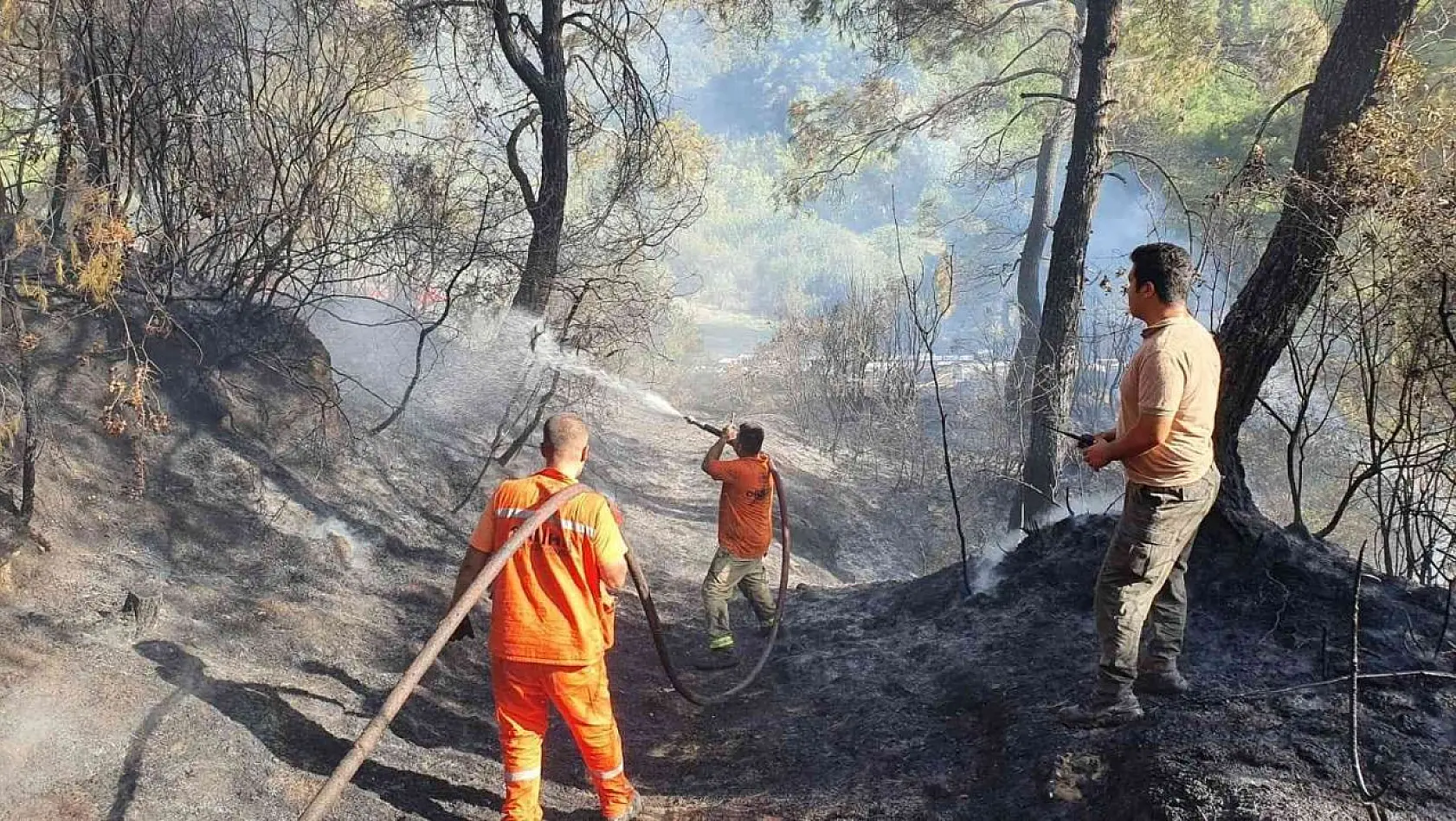 Salihli'de çıkan orman yangını kontrol altına alındı