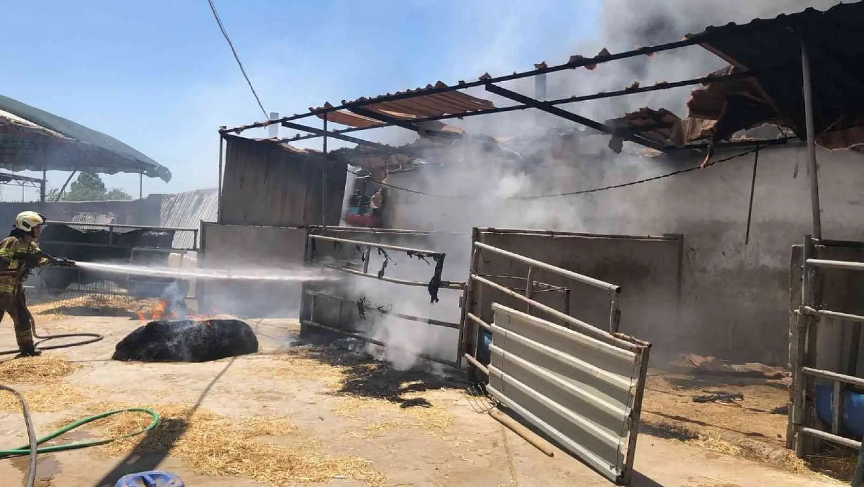 Seferihisar'daki iki orman yangınında 3 ev, 12 araç ve 1 bekçi kulübesi yandı