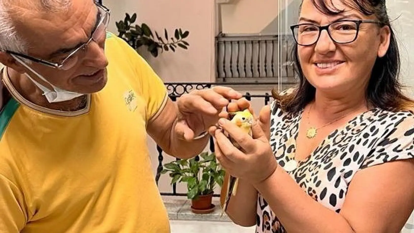 Şeker isimli papağan, sığındığı basın servisi sayesinde yeniden yuvasına kavuştu