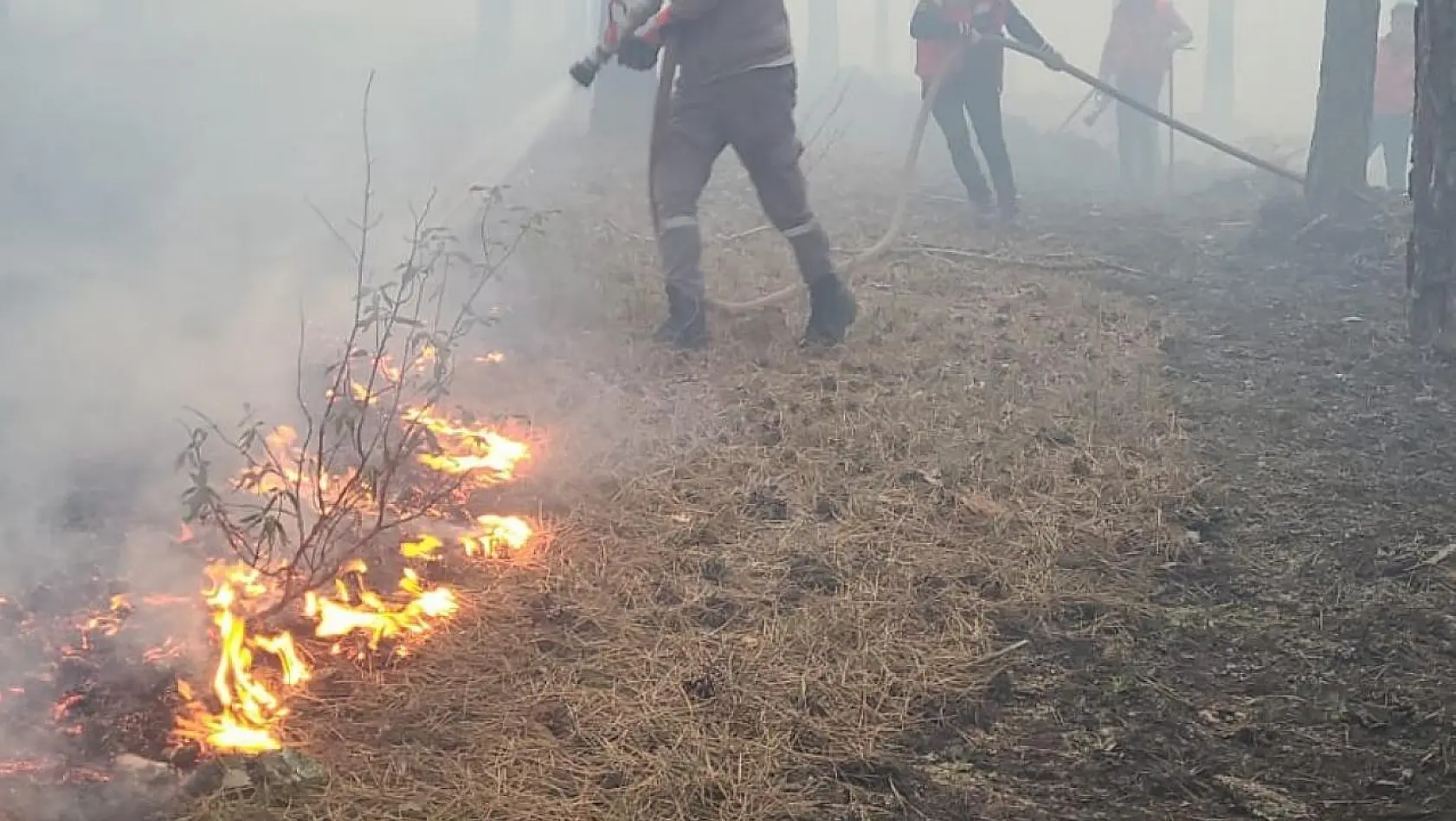 Tavşanlı'daki orman yangını kısa sürede söndürüldü