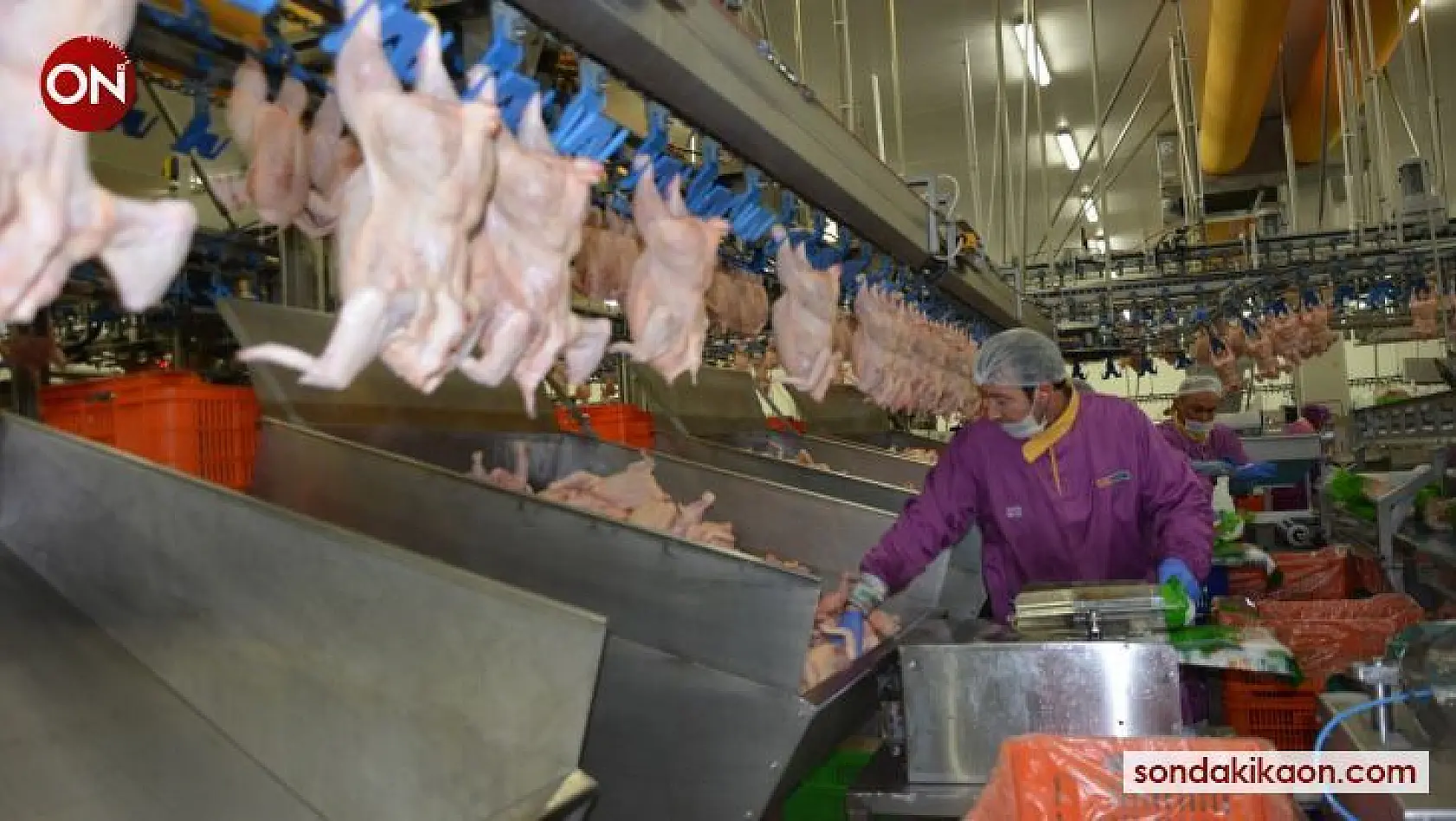 Tavuk devi 2021'de 160 milyon TL'lik yatırım plânlıyor