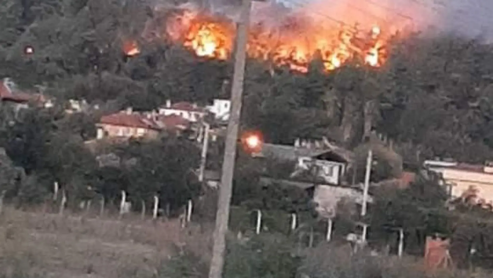 Ula'da orman yangını çıktı