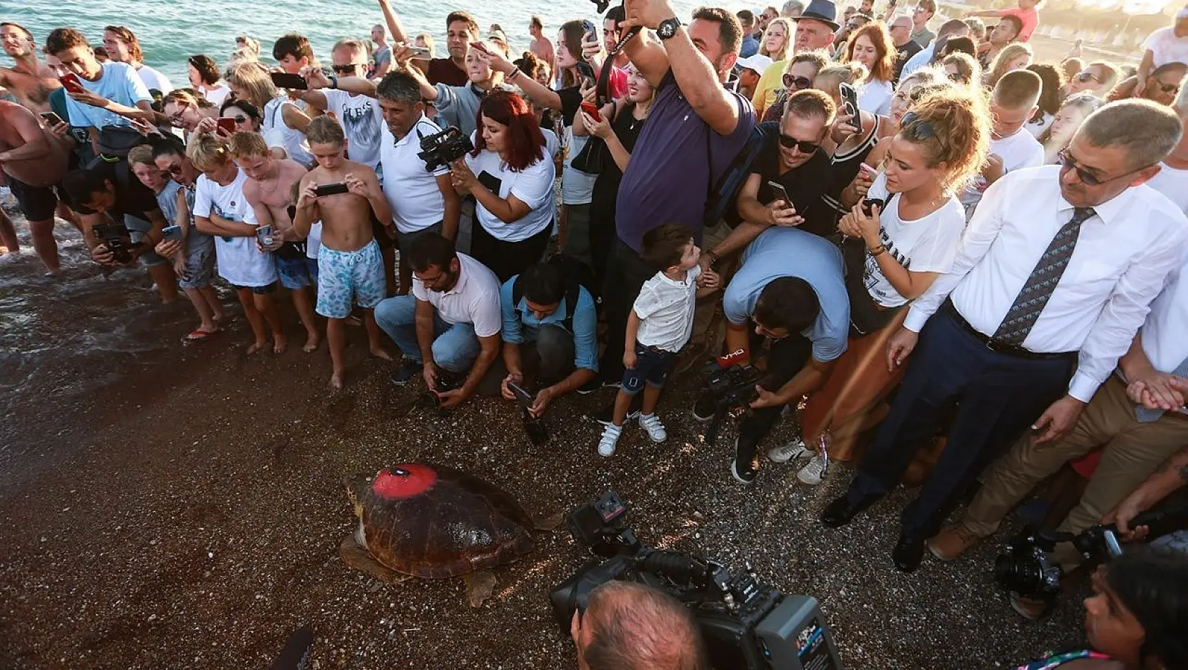 Yaralı kaplumbağaya Kıbrıs Harekatı anısına 'Lara Barış' ismi verildi