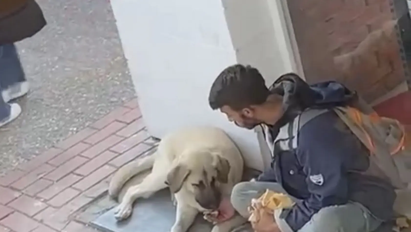 Yemeğini sokak köpeği ile paylaştı, sosyal medyada viral oldu