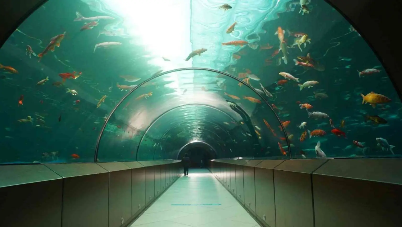 Yıldırım'daki tünel akvaryuma 2022'de 250 bin kişi ziyaret etti
