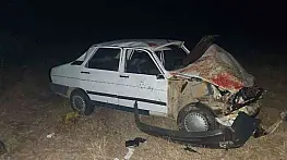 Çanakkale'de otomobil koyun sürüsüne daldı: 13 koyun telef oldu