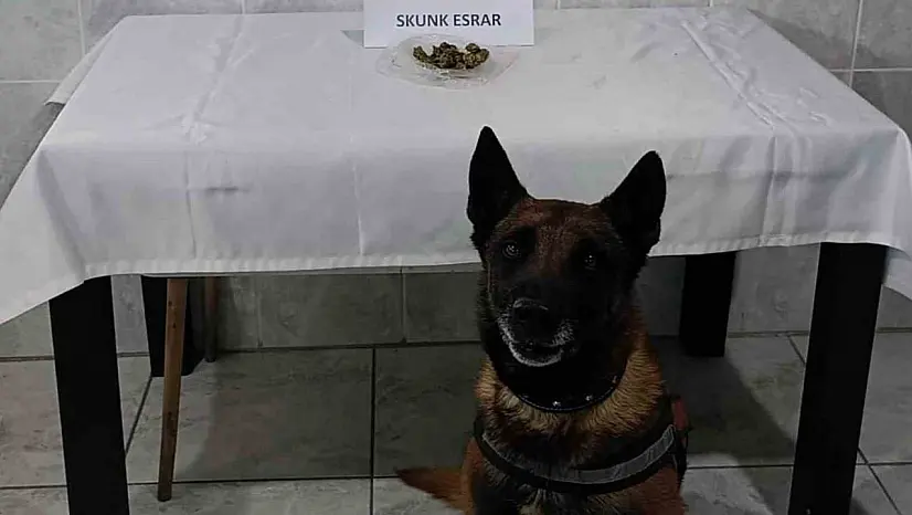 'Kont' destekli uyuşturucu denetimi