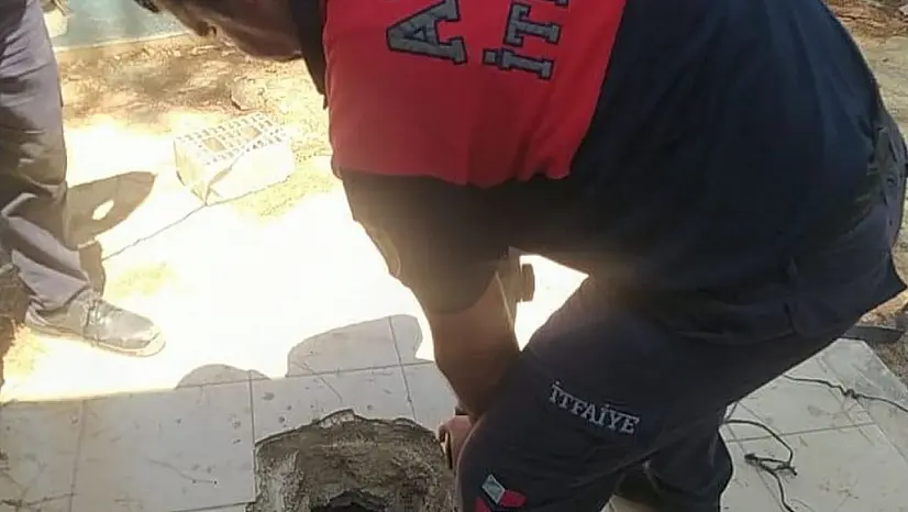 Çukura düşen yavruları, itfaiye kurtardı