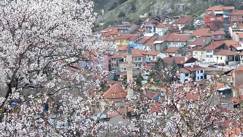Kütahya'da badem ağaçlarının çiçek açması güzel görüntüler oluşturdu