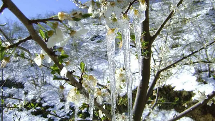 Muğla'da hava soğuyor, yağış geliyor
